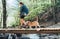 Middle-aged backpacker female with a backpack in trekking boots crossing mountain river bridge in the forest with her beagle dog.