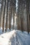 Middle-aged cross-country skier aged 50-55 makes his own track in deep snow in the wilderness in the morning sunny weather in