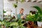 Middle-Aged Female Businesswoman, Clad in Apron, Methodically Dusting the Leaves of a For-Sale Plant in her Flower Shop