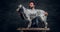 Middle-aged hunter showing his purebred English Setter who standing on a wooden pedestal.