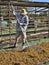 Middle-aged Labourer Raking Dried Sultanas.