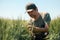 Middle-aged male farmer examining unripe barley Hordeum Vulgare crop ears in cultivated agricultural plantation wearing green t-