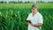 Middle-aged male farmer working on a field of corn. Uses a tablet, examines the field