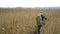 A middle-aged man with a backpack goes through the reeds