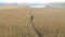 A middle-aged man with a backpack goes through the reeds