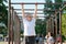 Middle-aged man doing pull up exercise on horizontal bar outdoor