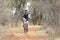 Middle aged man enjoying outdoors ride at Mountain Bike Race