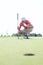 Middle-aged man looking at ball while crouching on golf course