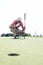 Middle-aged man looking at ball while crouching on golf course