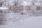 A middle-aged man swims on a cold winter day along the river against the backdrop of snow-covered trees. The concept of