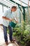 Middle Aged Man Watering Tomato Plants In Greenhouse