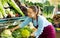 Middle-aged saleswoman putting cauliflower on food stall in greengrocery