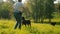 Middle-aged woman and black boxer dogs