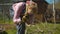 Middle-aged woman chopping ax tree branches