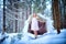 A middle-aged woman in a large warm fur coat and white angel wings in a winter forest with snow and snowdrifts. Fairy angel in a