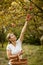 Middle aged woman picking apples in her orchard