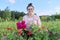 Middle-aged woman with pruning shears cutting bouquet of zinnia flowers