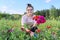 Middle-aged woman with pruning shears cutting bouquet of zinnia flowers