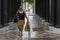 Middle-aged woman shopping in the center of Malaga