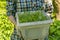 middle aged woman working with soil pot with sprouts planted in it at the backyard houses