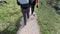 middle-aged women hiking on alpine footpath