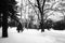 Middle East or African refugee is walking through snowy forest on the Balkan route