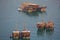 Middle East, Qatar, Doha, Harbour, Harbour Boats