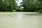 In the middle of the forest, a shallow pond stretched out like a narrow snake. A reservoir on the edge of the village. Rural house