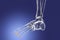 Middle phalanges of the foot, 3D illustration