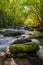 Middle Prong of the Little River, Great Smoky Mountains