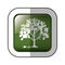 Middle shadow sticker of square green with tree with power cord