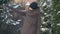 Middle shot of happy carefree young woman enjoying snowfall outdoors. Portrait of relaxed cheerful Caucasian lady