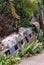 Middle and tail section of airplane wreck in jungle, Kuranda Australia.