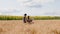 In the middle of wheat field African lady and her partner man farmer have a discussion about some deals they take the