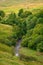 Middlehope Burn and Slitt Wood below Westgate Tarn