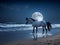 Midnight Gallop: Mesmerizing Horse on the Moonlit Beach