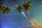 Midnight landscape with coconut palm tree Silhouette and Milky Way in the sky