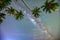 Midnight landscape with coconut palm tree Silhouette and Milky Way in the sky