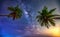 Midnight landscape with coconut palm tree Silhouette and Milky Way in the sky