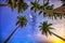 Midnight landscape with coconut palm tree Silhouette and Milky Way in the sky