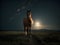 Midnight Majesty: Four-Legged Poise under the Starry Sky