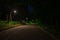 Midnight park road with street lantern light and fuzzy motion of recognizable person here