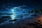 Midnights shoreline magic Waves weave dreams on sandy beach beneath starlit heavens