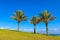 Midron Yaffo Park with palm trees and Mediterranean sea in background in Tel Aviv Jaffo, Israel