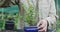 Midsection of african american male gardener taking care of bonsai tree at garden center