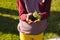 Midsection of biracial girl in maroon t-shirt holding compost and sapling while standing in yard