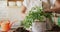 Midsection of caucasian woman potting plants in cottage kitchen