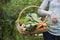 Midsection Of Cropped Woman With Vegetable Basket