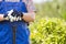 Midsection of gardener holding spade in plant nursery