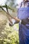 Midsection of gardener trimming branches at plant nursery